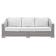 Light Gray White