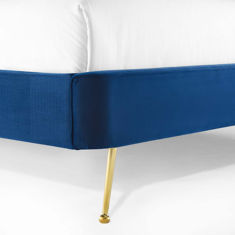 Navy / Queen