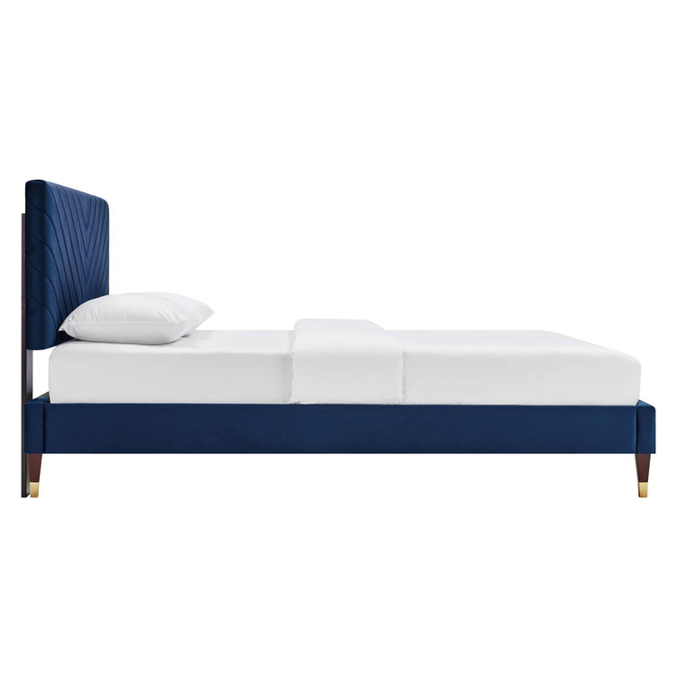 Navy / Queen