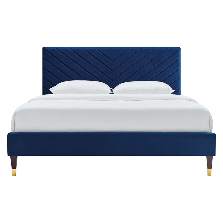 Navy / Queen