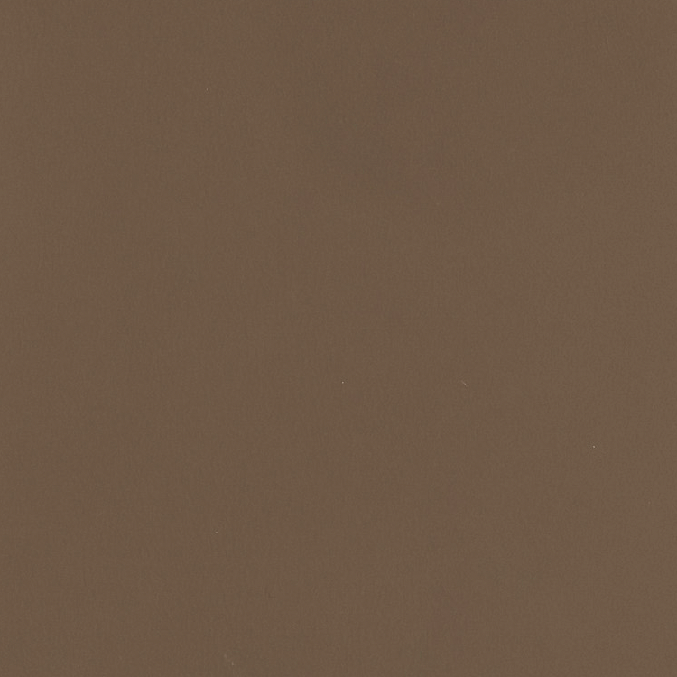 Swatch - Mushroom Brown (SW-0822)