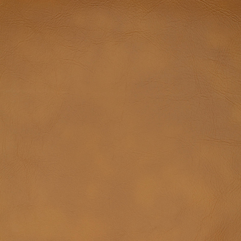 Swatch - Tan (SW-0104)