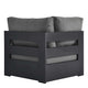 Gray Charcoal