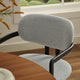 Black Dove Gray