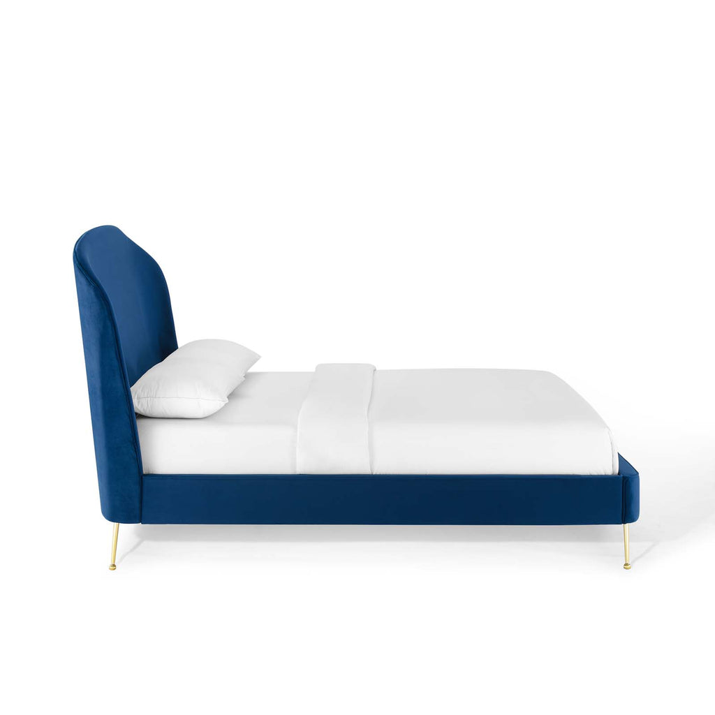 Navy / Queen