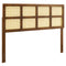 Walnut / Full