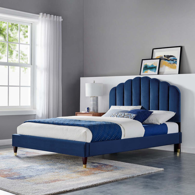 Navy / Queen