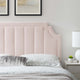 Pink / Twin