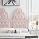 Pink / Twin