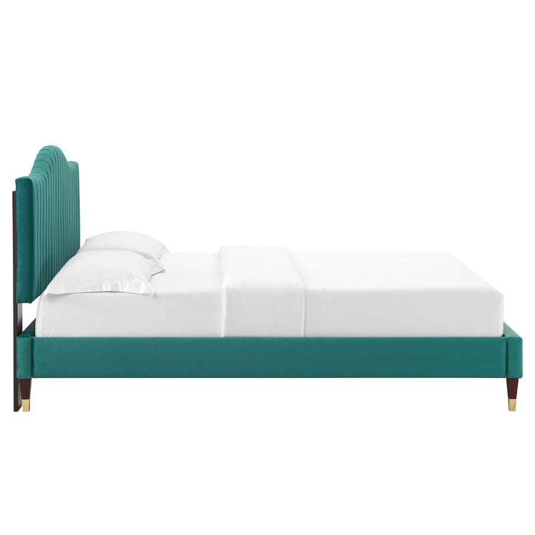 Teal / Full