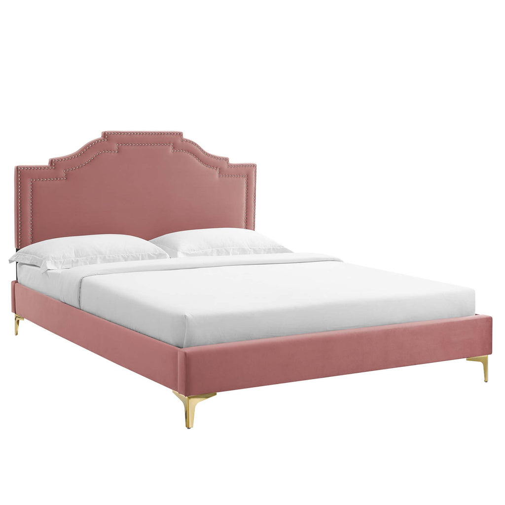Dusty Rose / King