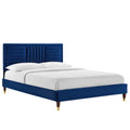 Navy / Full
