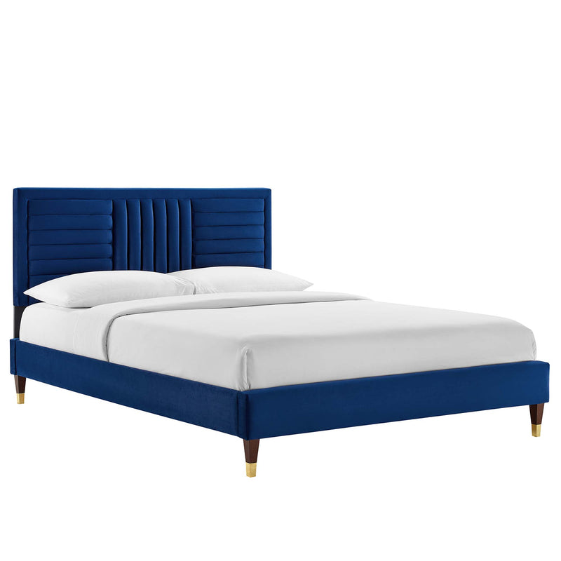 Navy / Full