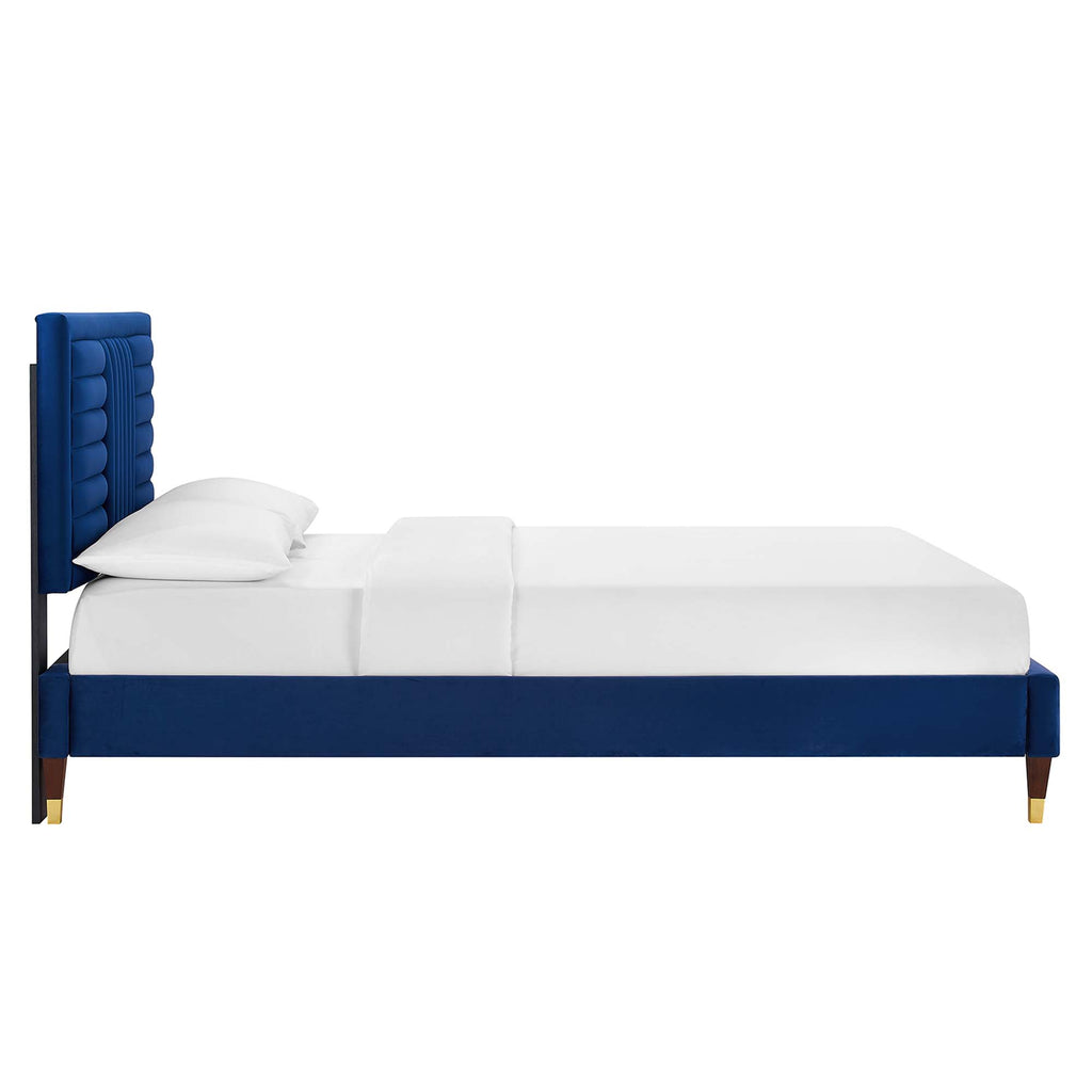 Navy / Full