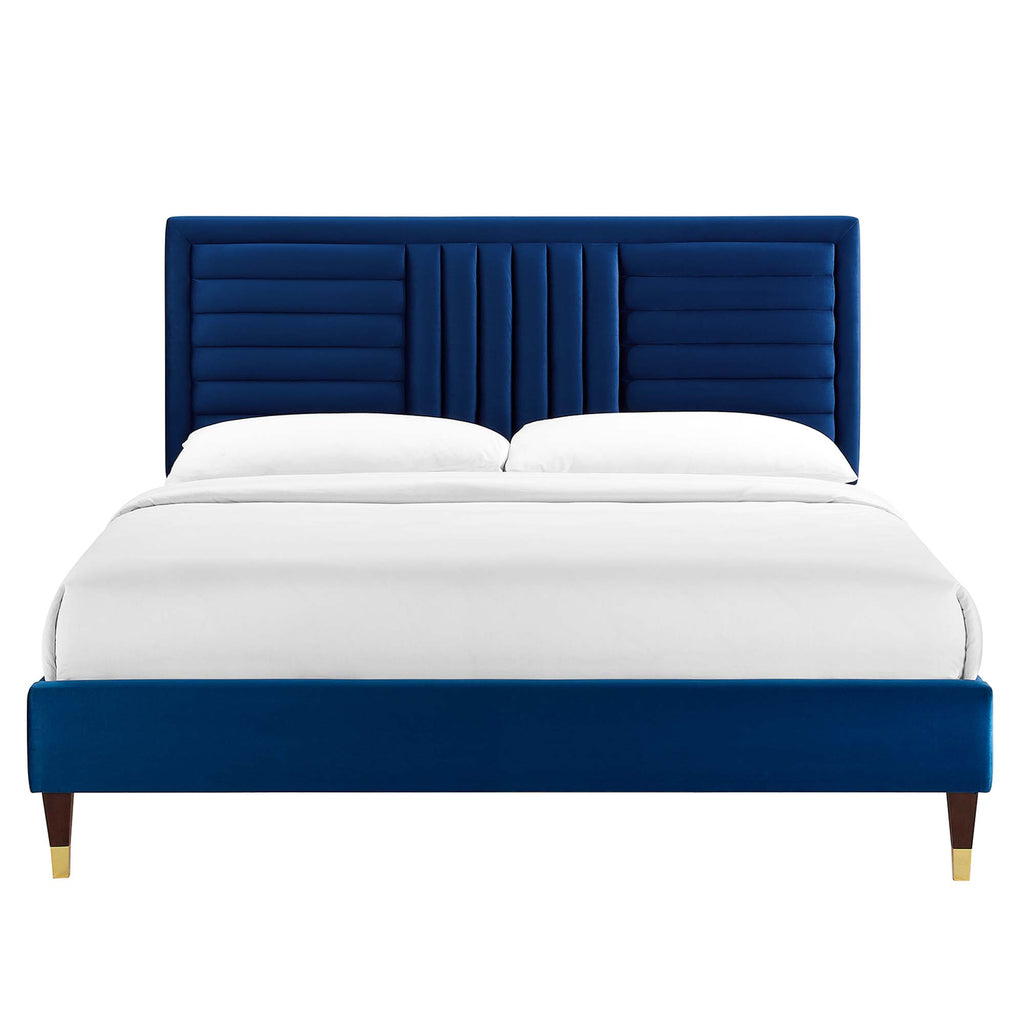 Navy / Full