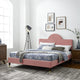 Dusty Rose / King