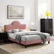 Dusty Rose / King