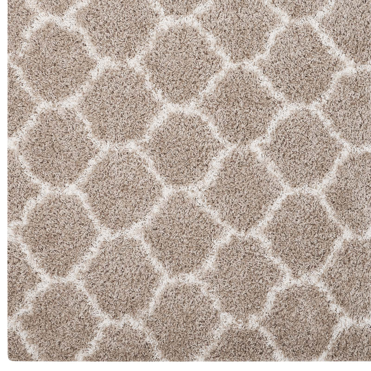 Beige and Ivory / 8x10