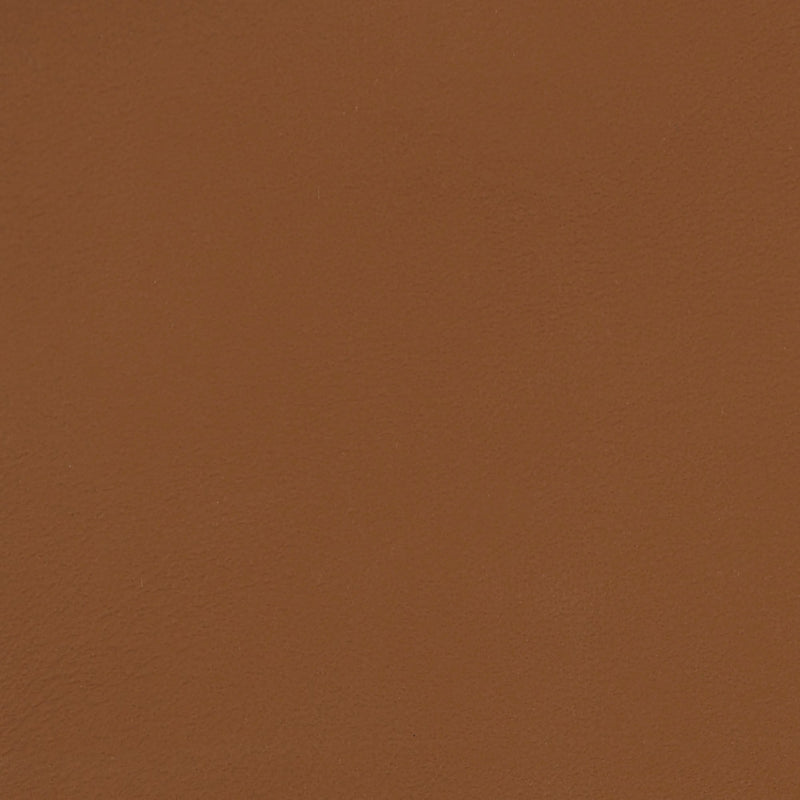 Swatch - Tan (SW-0105)