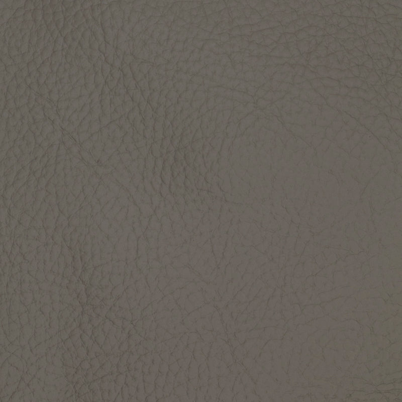 Swatch - Gray (SW-0585)