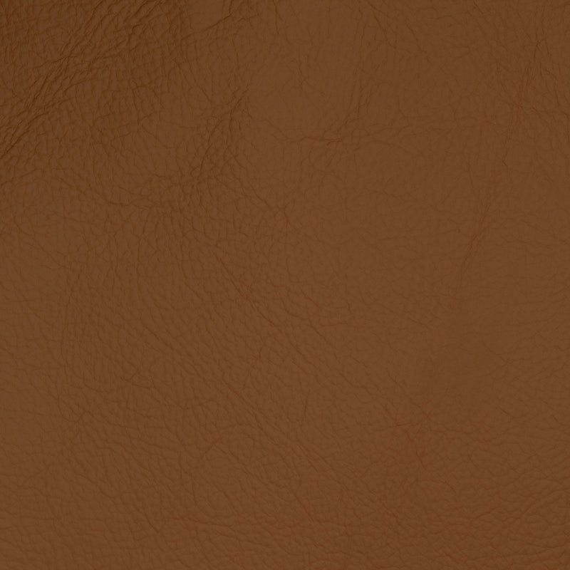 Swatch - Tan (SW-0587)