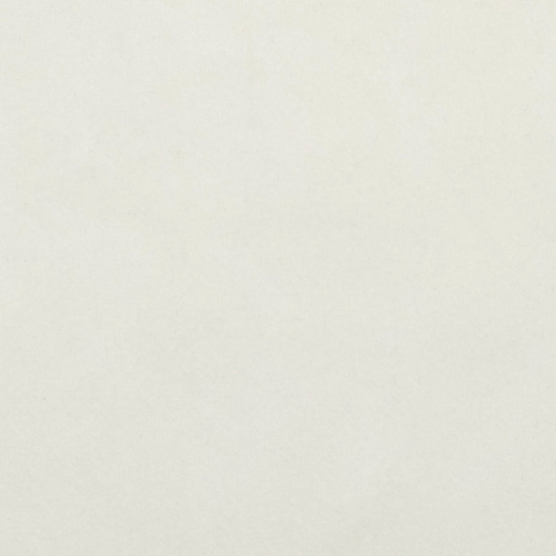 Swatch - White (SW-1341)